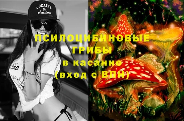 эйфоретик Армянск