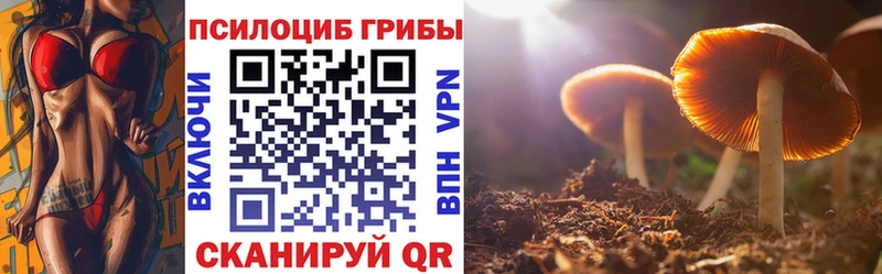 Псилоцибиновые грибы Magic Shrooms  как найти   Волхов 