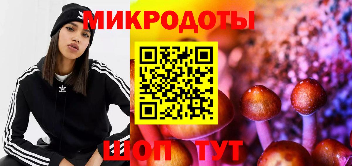 Волхов  Псилоцибиновые грибы Psilocybine cubensis  Вход с VPN  Галлюциногенные грибы MAGIC MUSHROOMS 