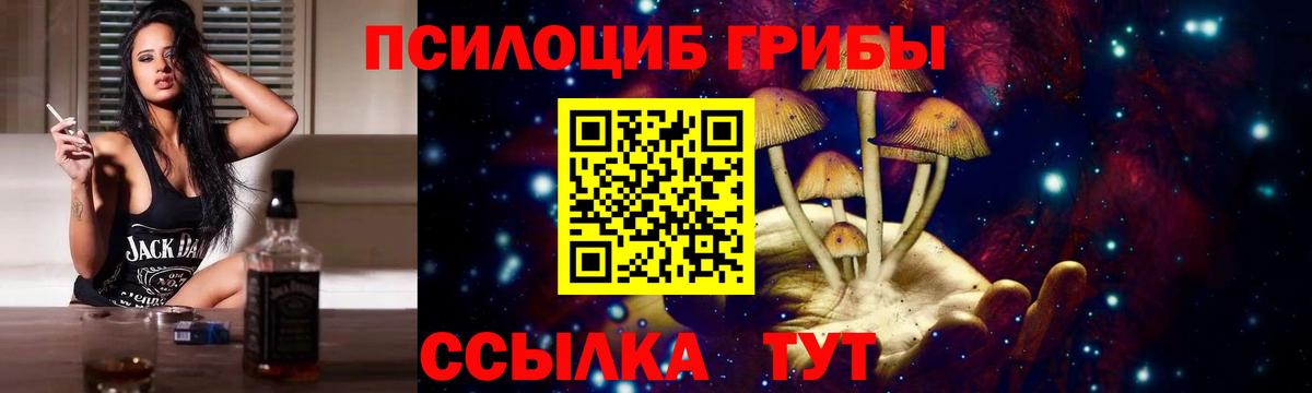 Псилоцибиновые грибы прущие грибы Волхов
